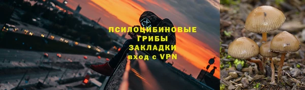 мескалин Вяземский