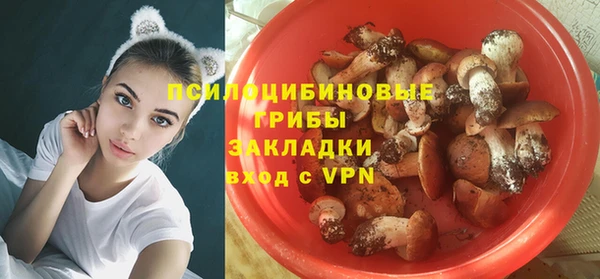 мескалин Вяземский